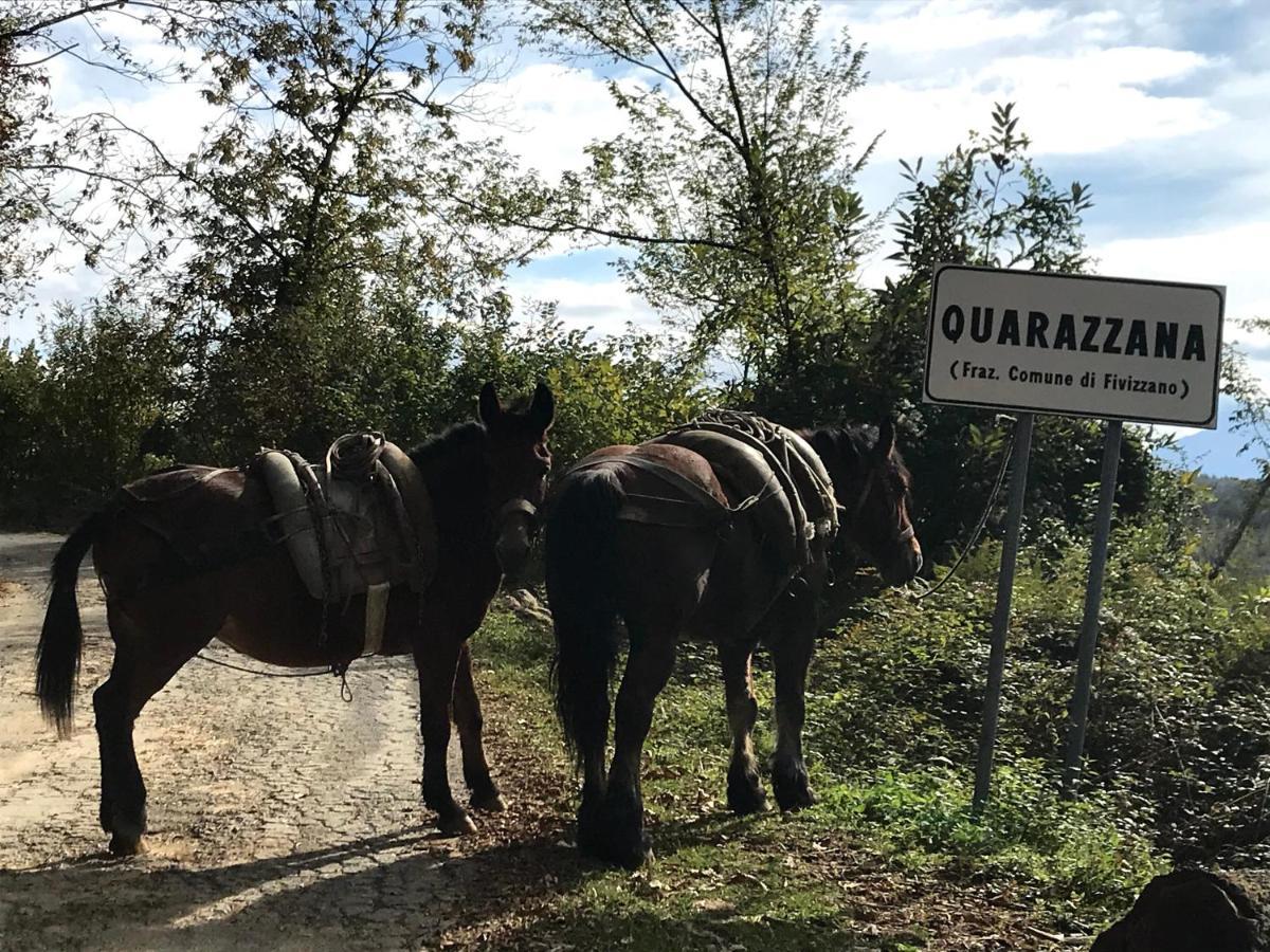 Agriturismo B&B Luna di Quarazzana in Fivizzano Tuscany Esterno foto